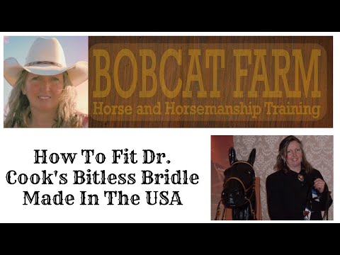 how to fit lg bridle