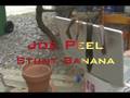 2008 Green Film Fest - Honorable Mention 2 of 3