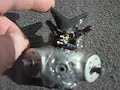 this is the coolest solar powerd robot i have right now. the circuit is the improved b.b.pv or bare bones photovore, by wilf. as found on j.wolfgang's site. this is a very simple bot, and an easey circuit to build if you want to step up from a fred.
