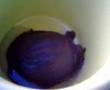 Chinese Soft Shelled Turtle Part 1