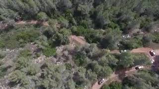 غابات كسلا القدس وفريق الارض المباركه غابات كسلا القدس وفريق الارض المباركه