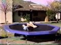 Trampoline Boy or \"Dad, Get the Camera Off Me!\"