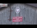 zloty mecz