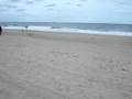 videos de Rehoboth Beach Proposal