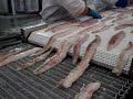 T�nel de Congelamento Autom�tico Espiral