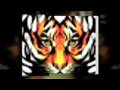 videos de Thousands Of Great Tattoo Designs