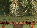 Meio ambiente e trânsito Meio ambiente e trânsito