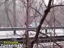 Car Accident on Bronx River Parkway