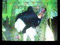 BOI-BUMBÁ CAPRICHOSO