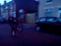videos de fat weelie