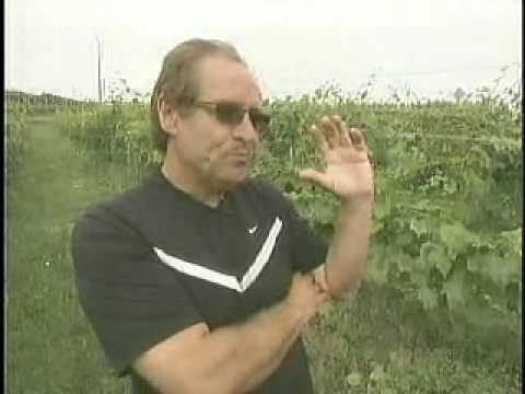 Image de prévisualisation YouTube