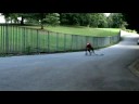 Sunday Longboard Sliding Session