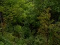 ZipLine On Board