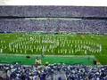 University of Kentucky Wildcat Marching Band 9/6/2008