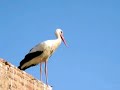 Morocco Road Trip: Part 1 Marrakech and Eastern High Atlas