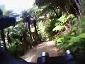 More Queen Charlotte Track South Island New Zealand