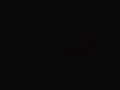 ベアルファレス