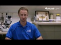 Pest Control: How to Identify Termites