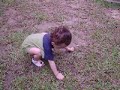 Armijn - A Walk In The Park