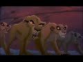 Zira - A fighter