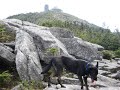 Our Hike Up Whiteface Mountain