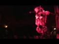 Some Violins for Freddi P. at Amnesia  11-16-2008