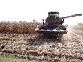 Fiatagri Laverda 3550 con barra 5 file mais