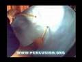 Steel pan drum | Roots Reggae | Satta Massagana Version
