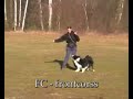Flat work