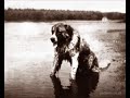 The Boy Castaway