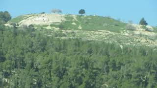 قرية زكريا المهجرة قرية زكريا المهجرة