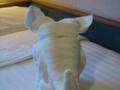 Cruise Ship:Singapore to Hong Kong