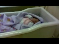 Click here to watch this video Maria Elissa Maia Fonseca