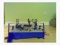 THE UFW RUMBLE (Unedited)