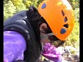 The classical climbing route at limestone Dusickova rock (Halloween Wall) in Cesky kras area near Prague.