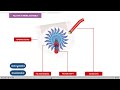 The following animation explains how a Pelton Turbine works. It consists of following parts: 1. Theory of working 2. Explaining parts of Pelton Turbine with the help of assembly animation 3. Working of Pelton turbine with the help of animation 4. Quiz (Multiple Choice)
