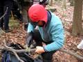 videos de Big Saw- Little Branch