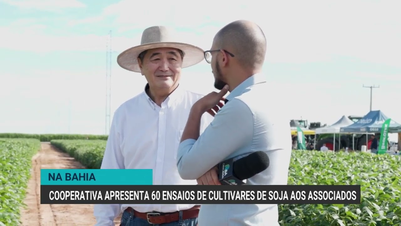 Cooperativa apresenta 60 ensaios de cultivares de soja aos associados na Bahia