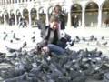 videos de Venice twinky