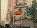 zucca music - Dott. Bartolomeo Davide Bertinetto zucca music - Dott. Bartolomeo Davide Bertinetto