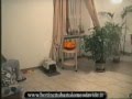 videos de zucca music - Dott. Bartolomeo Davide Bertinetto