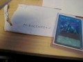 TRADE PROOF-BLACKWINGKID