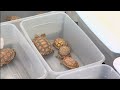 The Heat is On: Desert Tortoises & Survival (Full Length - Part 1 of 4)