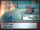 Pokemon Ev training guide part 6