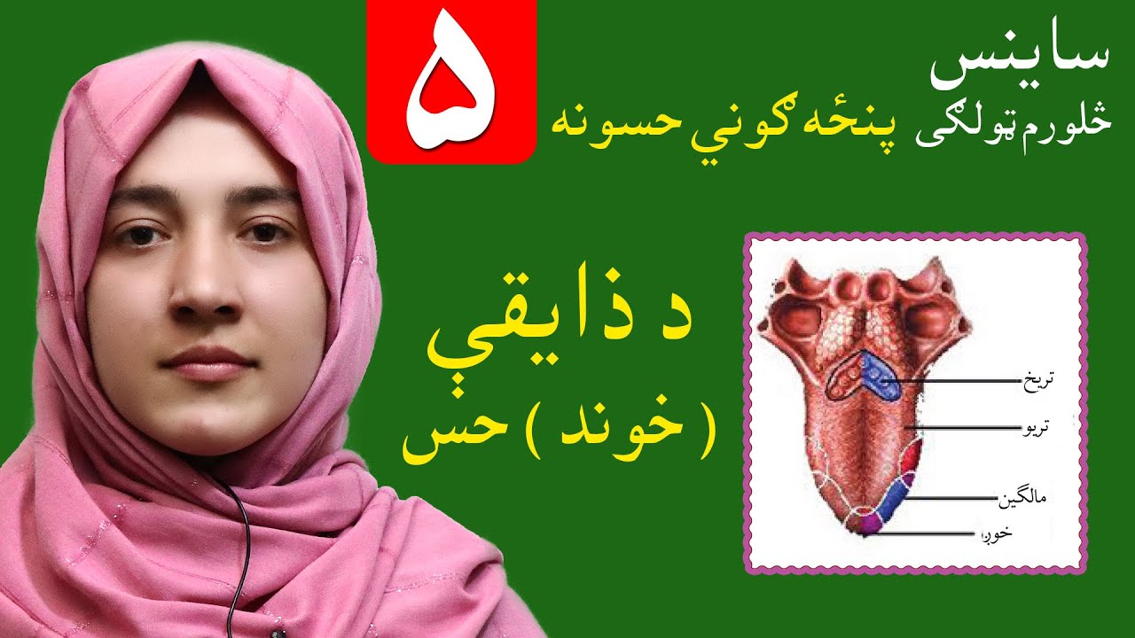 LESSON 5 _ Grade 4 SCENCE / پنځم لوست ـ د ساینس مضمون ـ څلورم ټولګی