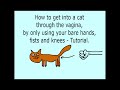 How To Get Into a Cat - Tutorial
