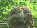 Der Menhir Breitenstein oder Zwölfapostelstein ist wahrscheinlich ein uralter Kultstein. Erwähnt wurde er erstmal 713 in einer Urkunde der Abtei Weißenburg. Er steht in der Nähe von Bitsche / Lothringen