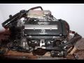 Nagano Japanese  B16A 2nd Gen S.N. 5425640.wmv