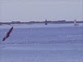 Kergu�len : les videos voile