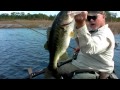Click here to watch this video Monster Bass on FROG Lure in Clear, Shallow Water